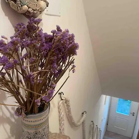 Casa Gastilde - Calle Lunga , Centro Storico Apartament